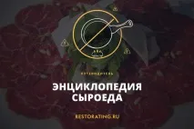 Енциклопедія сироїду, Путівник енциклопедія