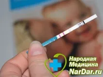Ендометрит матки хронічний, гострий – симптоми, лікування, вагітність ендометрит