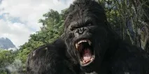 kong