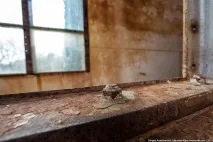 Фабрика бур, або занедбаний штормовий басейн, ФОТО НОВИНИ штормовий