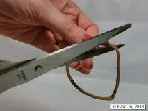 фітальний