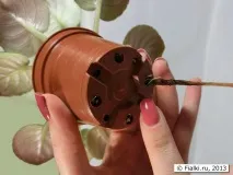 фітальний