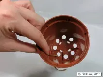 класика
