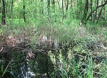 Фотозвіт про будівництво екодому екодому