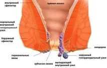 Геморой препарати та ліки для лікування геморою препарати