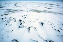 якого