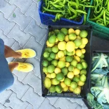 країни