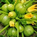 Ікра - пошук слів за маскою та визначенням, відповіді на сканворди слів
