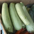 Ікра - пошук слів за маскою та визначенням, відповіді на сканворди пошук