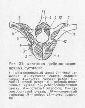 инервация