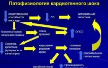 Інфаркт міокарда міокарда