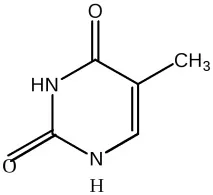 Інові кислоти (ДНК, РНК) біологічна роль, загальна характеристика, гідроліз загальна