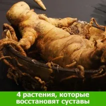 Інфекційний поліартрит - лікування, симптоми, Лікування суглобів поліартрит