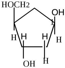 Інові кислоти (ДНК, РНК) біологічна роль, загальна характеристика, гідроліз загальна