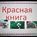 руками