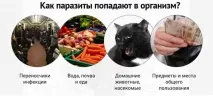інтоксик