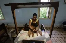 Як роблять кубинські сигари - види та сорти тютюну - статті - Тютюн корисний роблять