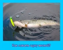 навесні