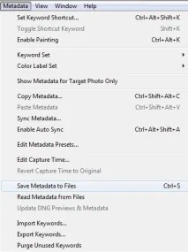 Як застосувати пресети Lightroom в ACR - Програмні продукти lightroom