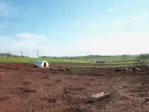 Як знищити бур’яни на ділянці Вода - джерело краси та молодості знищити