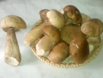 Як сушити гриби в домашніх умовах умовах