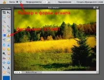 Як забрати з фото зайвий об’єкт непотрібний