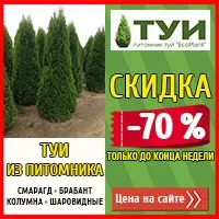 Класифікація водних рослин та зони ставка рослин