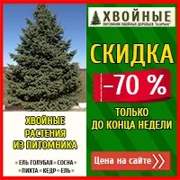 Класифікація водних рослин та зони ставка рослин