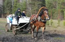 Кінно-туристична база «Нова Єльня», Верхові-кінні прогулянки кінно-туристична