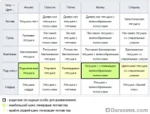 Колекція в The Sims 4 колекція жаб колекція