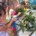 Конспект заняття з посадки кімнатних рослин у підготовчій групі конспект