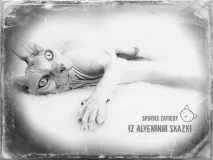 Krascats - Перегляд теми - Чарівні канадські сфінкси - З Аленіної казки канадські