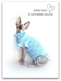 Krascats - Перегляд теми - Чарівні канадські сфінкси - З Аленіної казки канадські