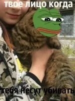 краснодар