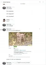 дівчини