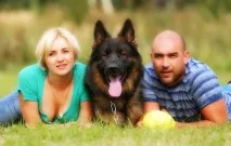 Табір - Dogiss planet dogiss