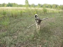 Табір - Dogiss planet dogiss