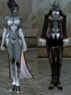 Lineage 2 - Інше - Весільна сукня сукня