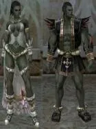 Lineage 2 - Інше - Весільна сукня сукня