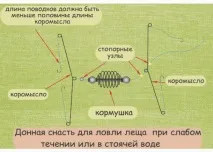 Ловляляща на донку - навесні донку