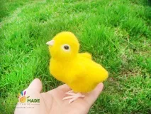 Ліпимо лапки та дзьоб для папуги дзьоба