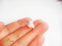 Ліпимо лапки та дзьоб для папуги лапки