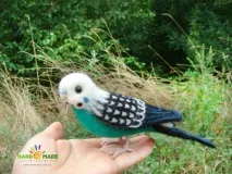 Ліпимо лапки та дзьоб для папуги лапки