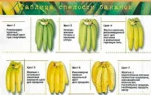 цікаві