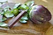 мировочів Артишоки