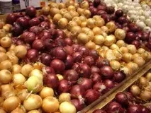 Можна садити цибулю можна