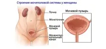 нетримання
