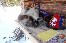 Новий рік у Ханти-Мансійське що пропонують приїжджим ханти-мансійське