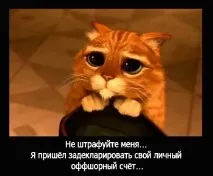 Незадекларовані особисті рахунки за кордоном чи як безболісно виправити мимовільне порушення рахунки