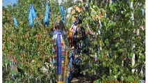 Обрядові дії на шанарі - Шамани Бурятії обрядові